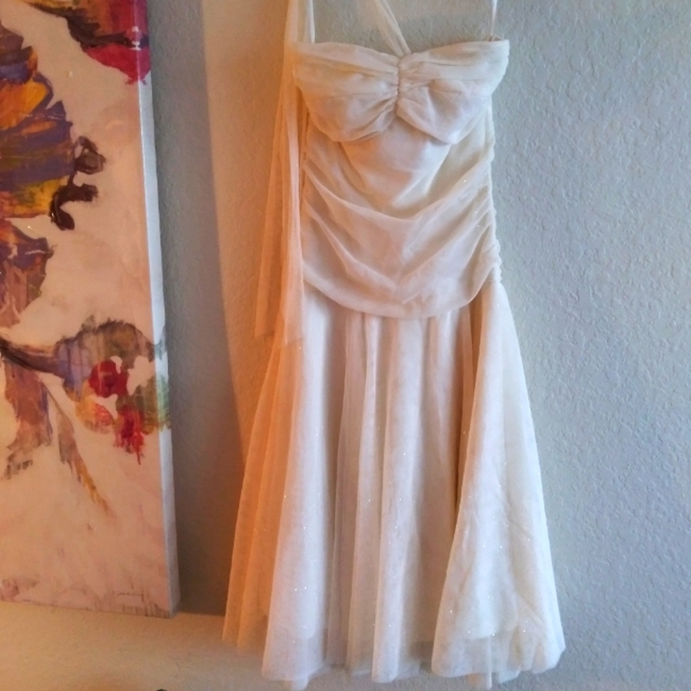 Vintage Prom dress